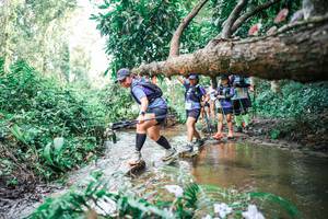 BIB: 
                            <button type="button" onclick="openModal(25517306)" class="btn btn-primary btn-sm float-right btn-popup" data-toggle="modal" data-target=".modal-high-quality">
                        <i class="fas fa-shopping-cart"></i> Add to Cart
                    </button>
                                            <button type="button" onclick="isThisMe(25517306, true)" class="btn btn-success btn-sm float-right btn-popup btn-isme hidden" data-toggle="tooltip" data-placement="bottom" title="นี่คือรูปของคุณใช่ไหม คลิกที่นี่เพื่อเอาเข้าอัลบั้ม">
                        <i class="fas fa-plus"></i> Add to album
                    </button>
                    <button type="button" onclick="isThisMe(25517306, false)" class="btn btn-warning btn-sm float-right btn-popup btn-isnotme hidden">
                        <i class="fas fa-ban"></i> Remove from album
                    </button>